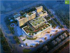 惠州市中心人民医院博罗分院（博罗县人民医院）2027年招聘